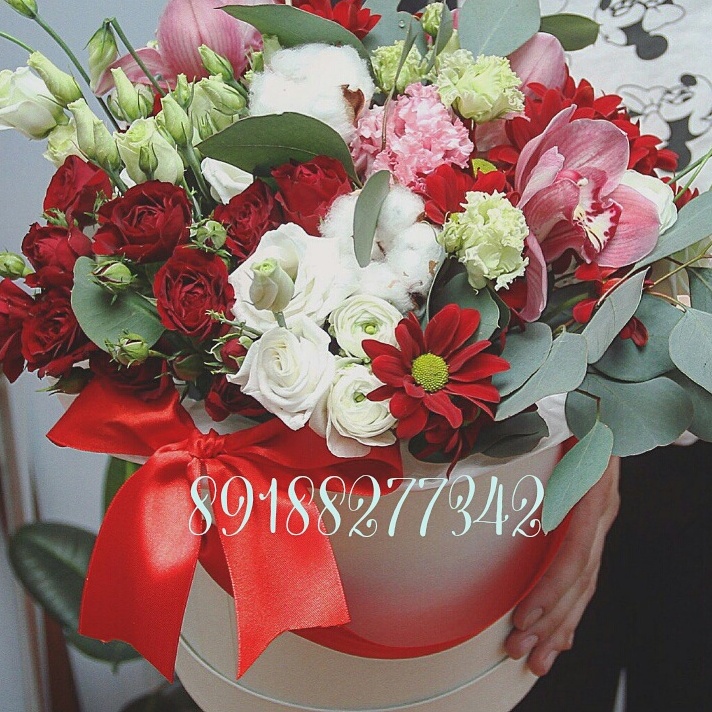 Фестиваль Красок