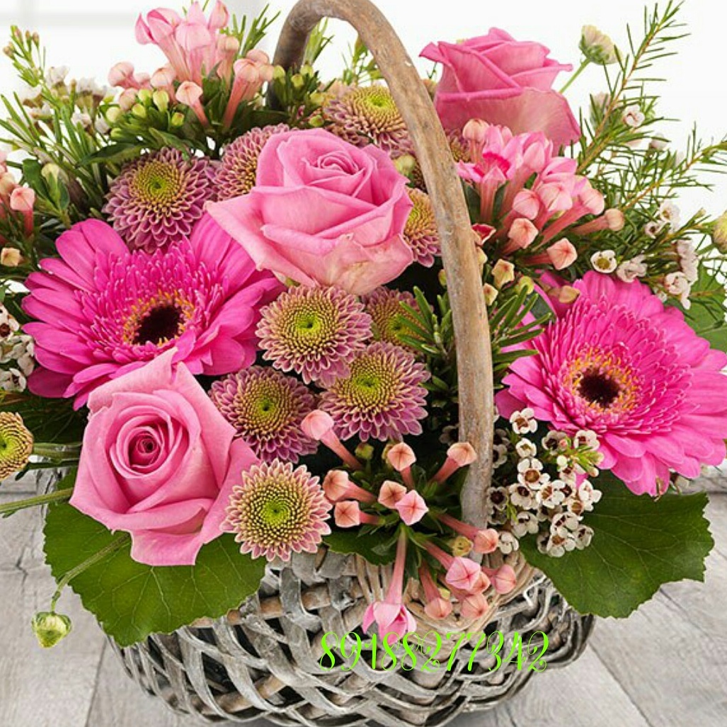 Фестиваль красок