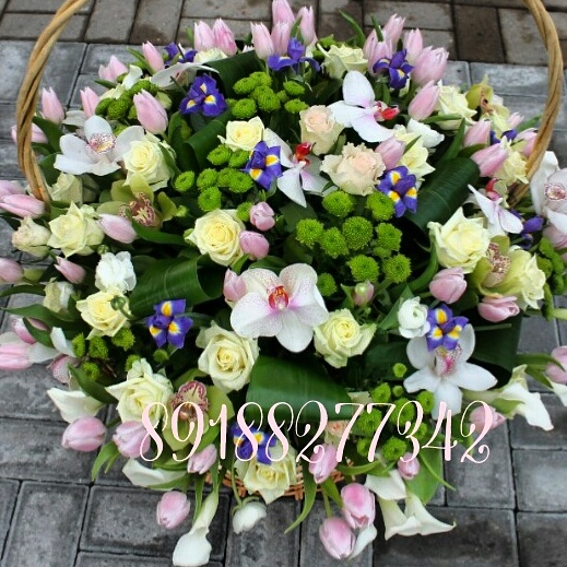 Аромат прованса