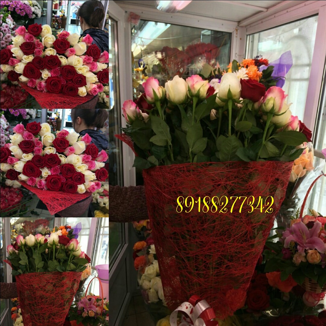 51 роза голланская