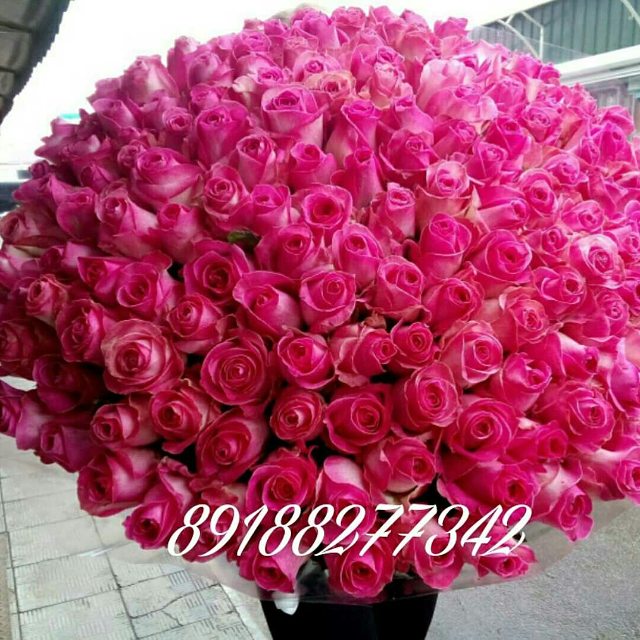 101 роза топаза