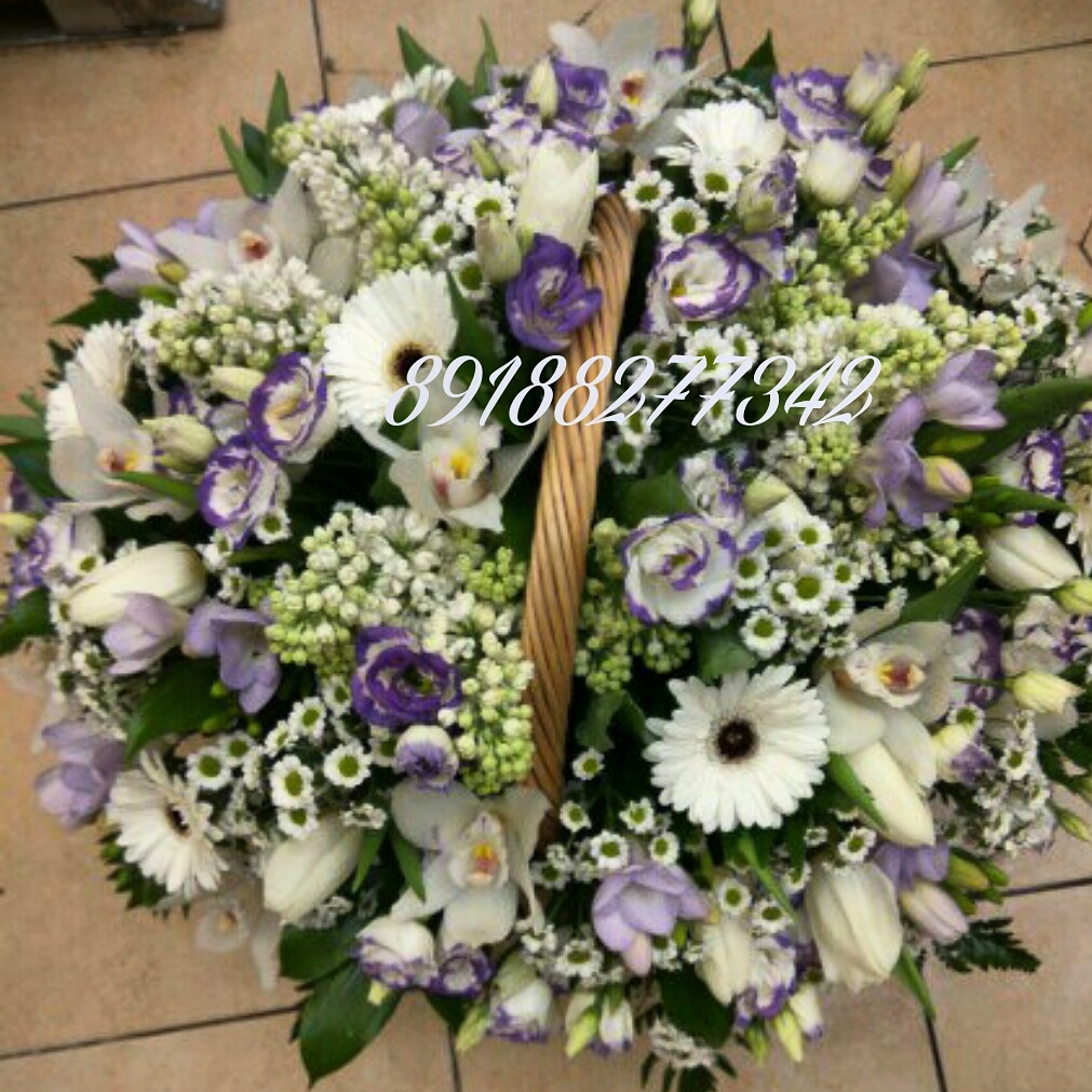 Летний дождь