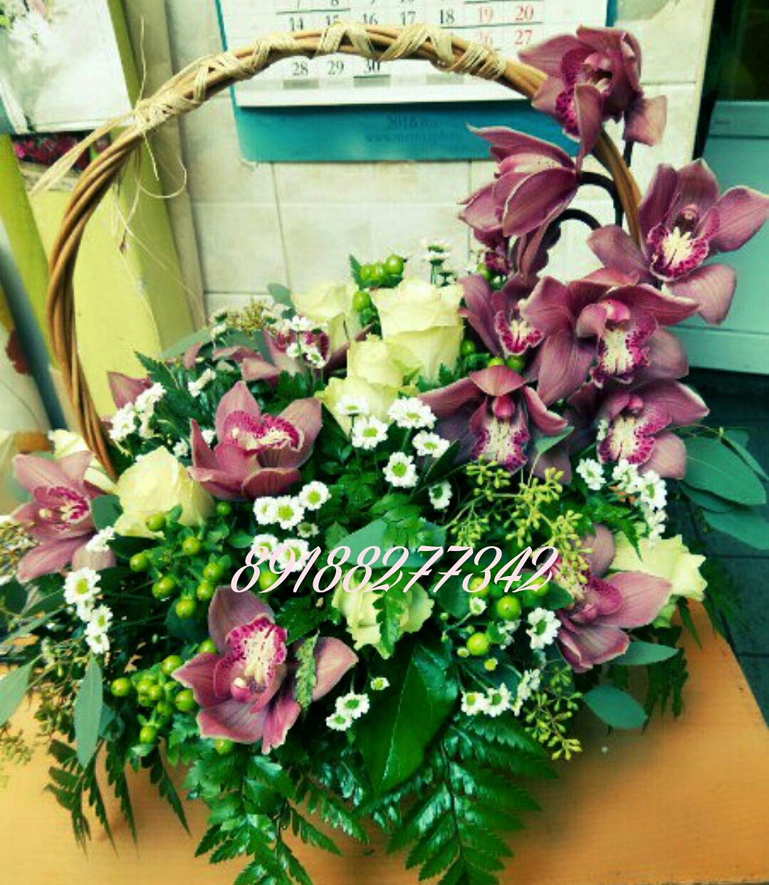 Орхидея  бардо