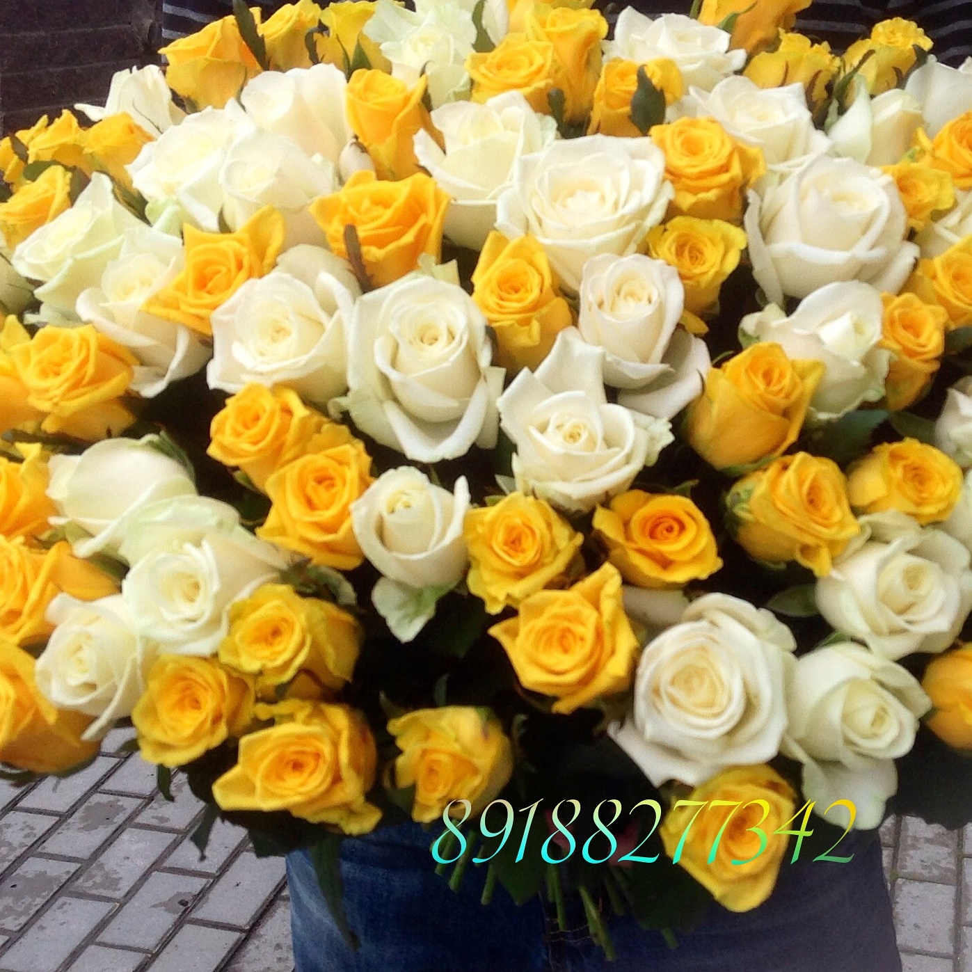 101 роза микс