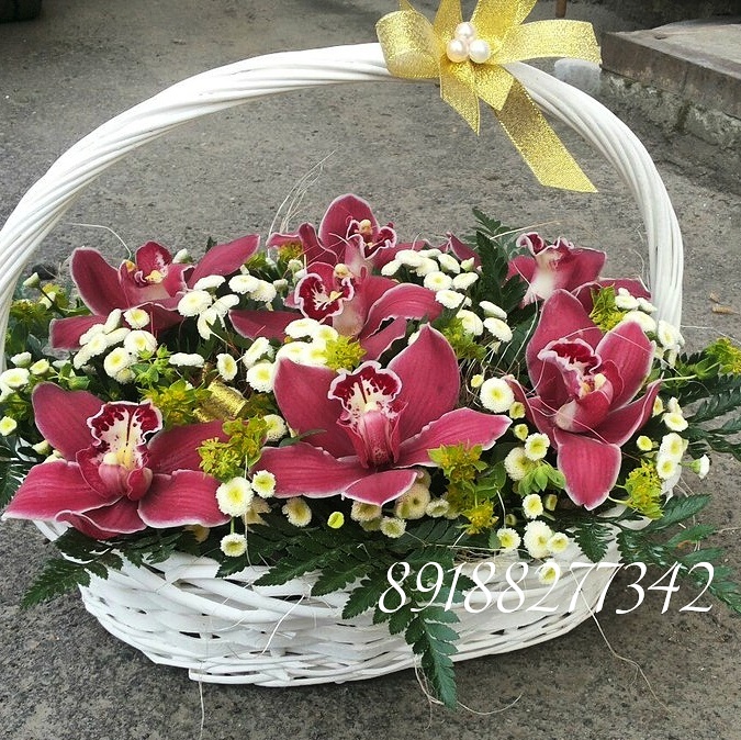 Радость Моя