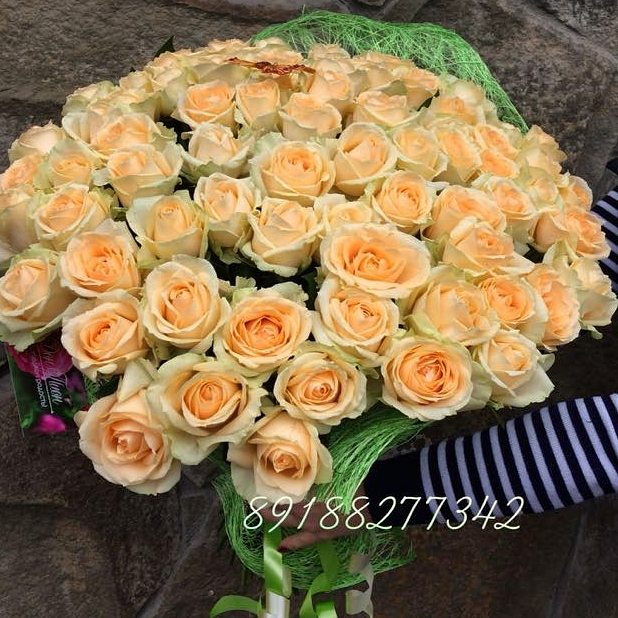 Жемчужина красоты