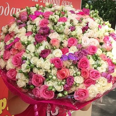 Цветущий луг