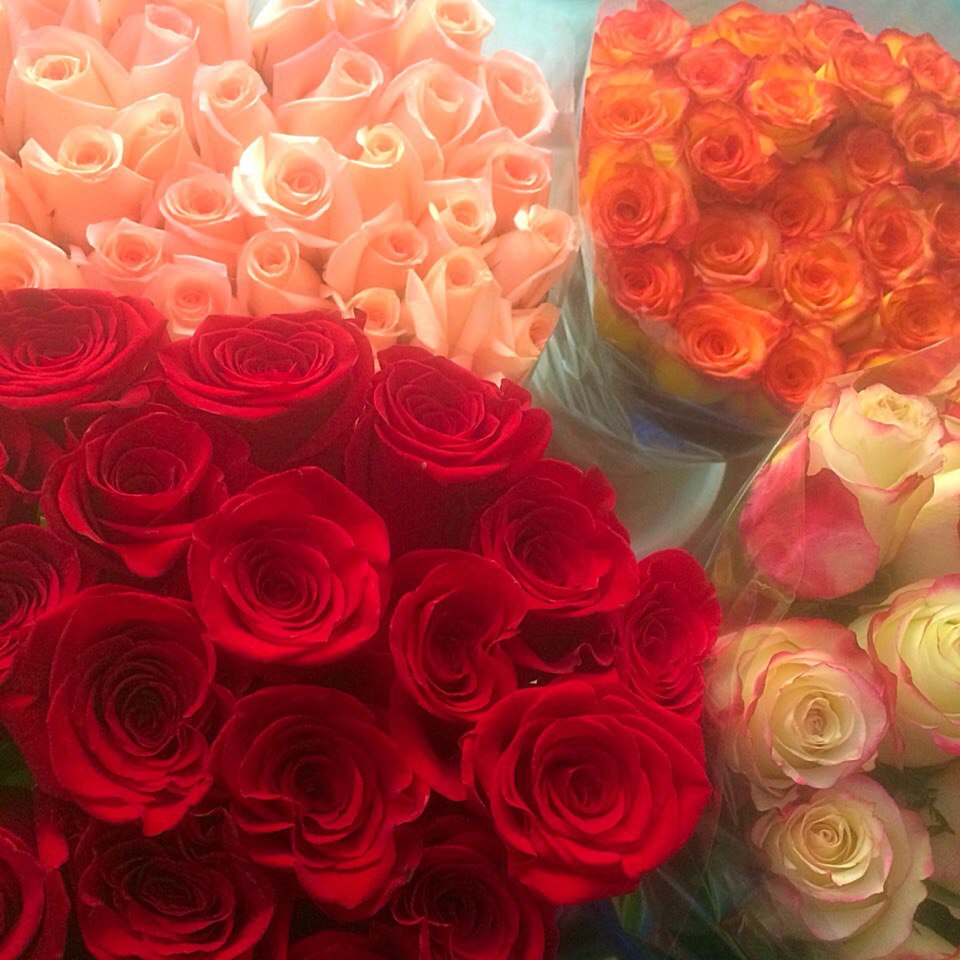 Местные розы