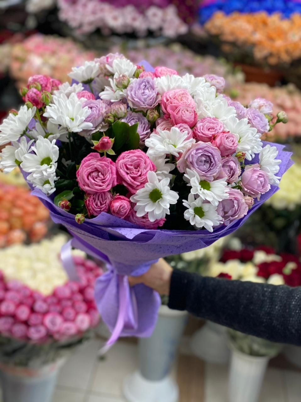 Светлые мечты