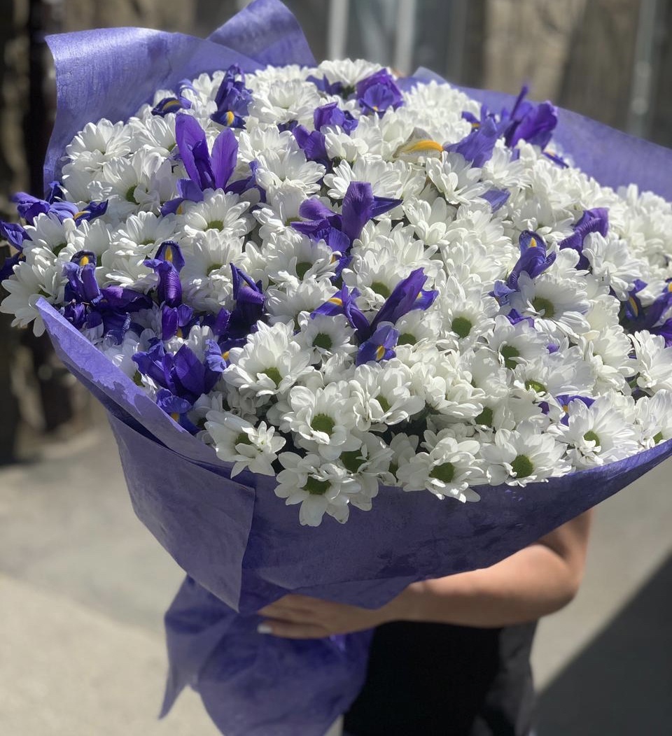 Лебединая верность