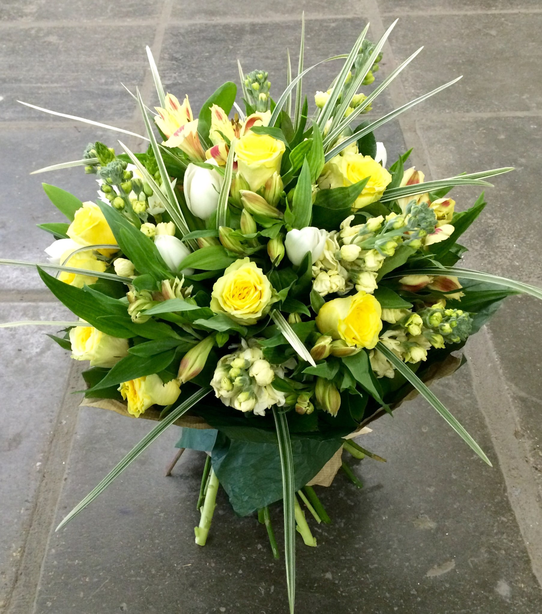 Солнечный круг