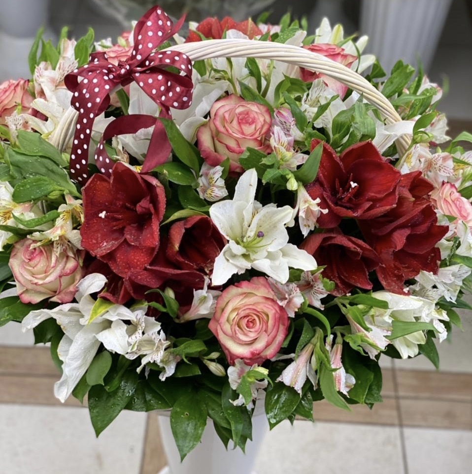 Румяная заря