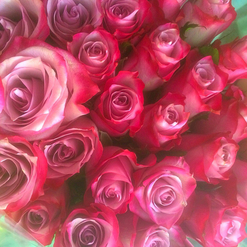 Розовый фелет