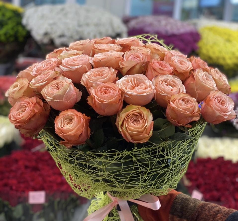 Лучик света