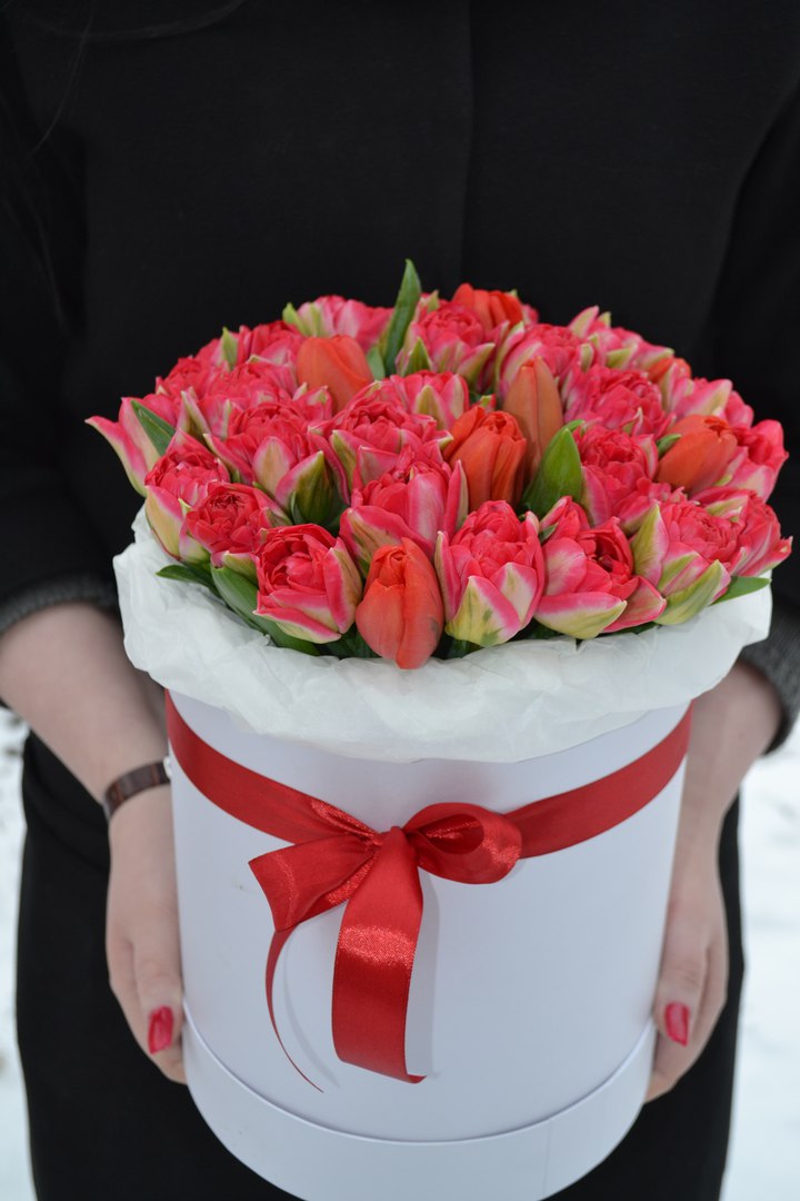 Коробка с 51 тюльпана