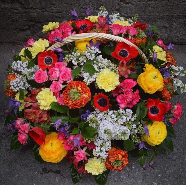 Каприз Лето